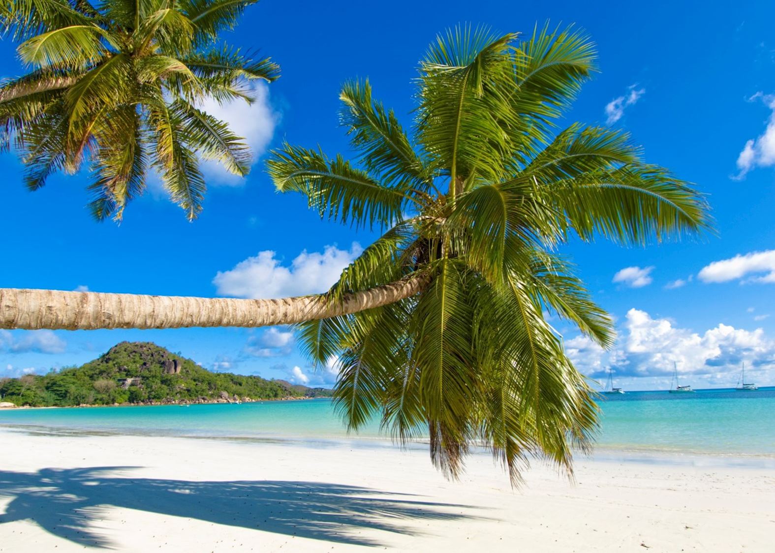 5 Days Tour to Seychelles for Honeymooners